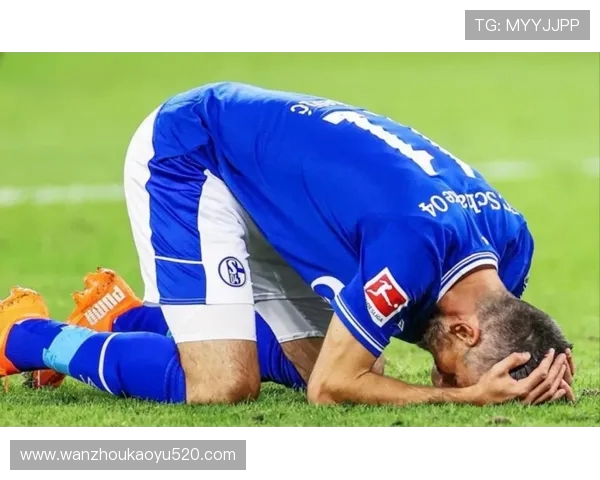 德甲亚军及其下半支球队详细介绍